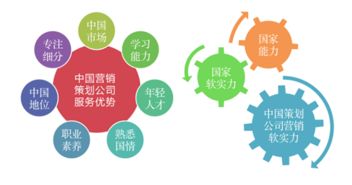 中國青年網(wǎng)發(fā)布2019年度中國十大營銷策劃公司排名，南方略咨詢連續(xù)入榜領銜網(wǎng)絡營銷策劃